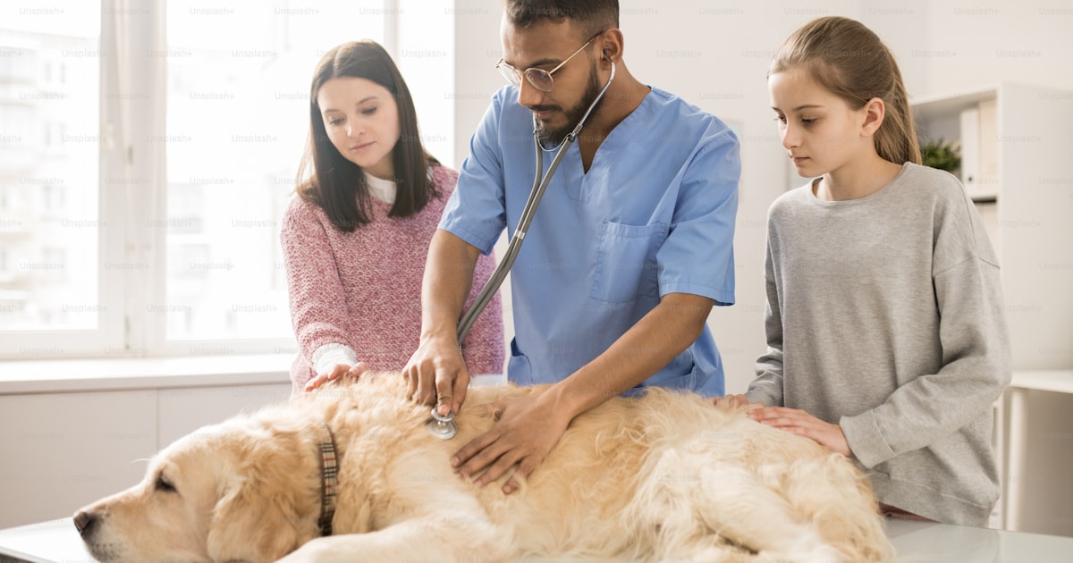 Cliniques vétérinaires